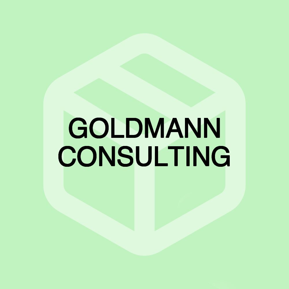 GOLDMANN CONSULTING GOLDMANN CONSULTING
